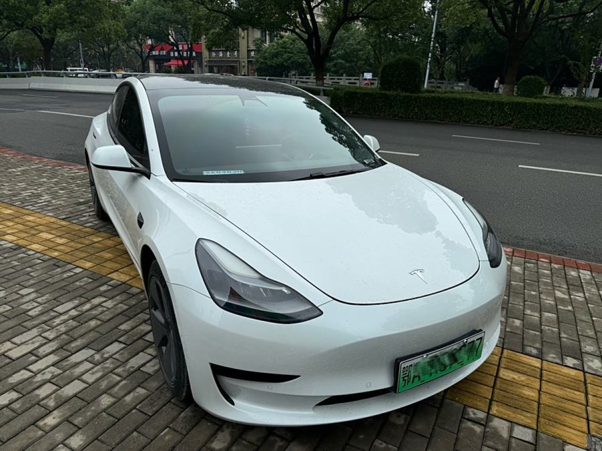 特斯拉 Model Y  2021款 改款 標(biāo)準(zhǔn)續(xù)航后驅(qū)升級(jí)版圖片