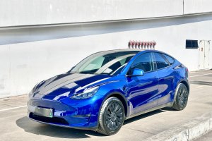 Model Y 特斯拉 改款 标准续航后驱升级版