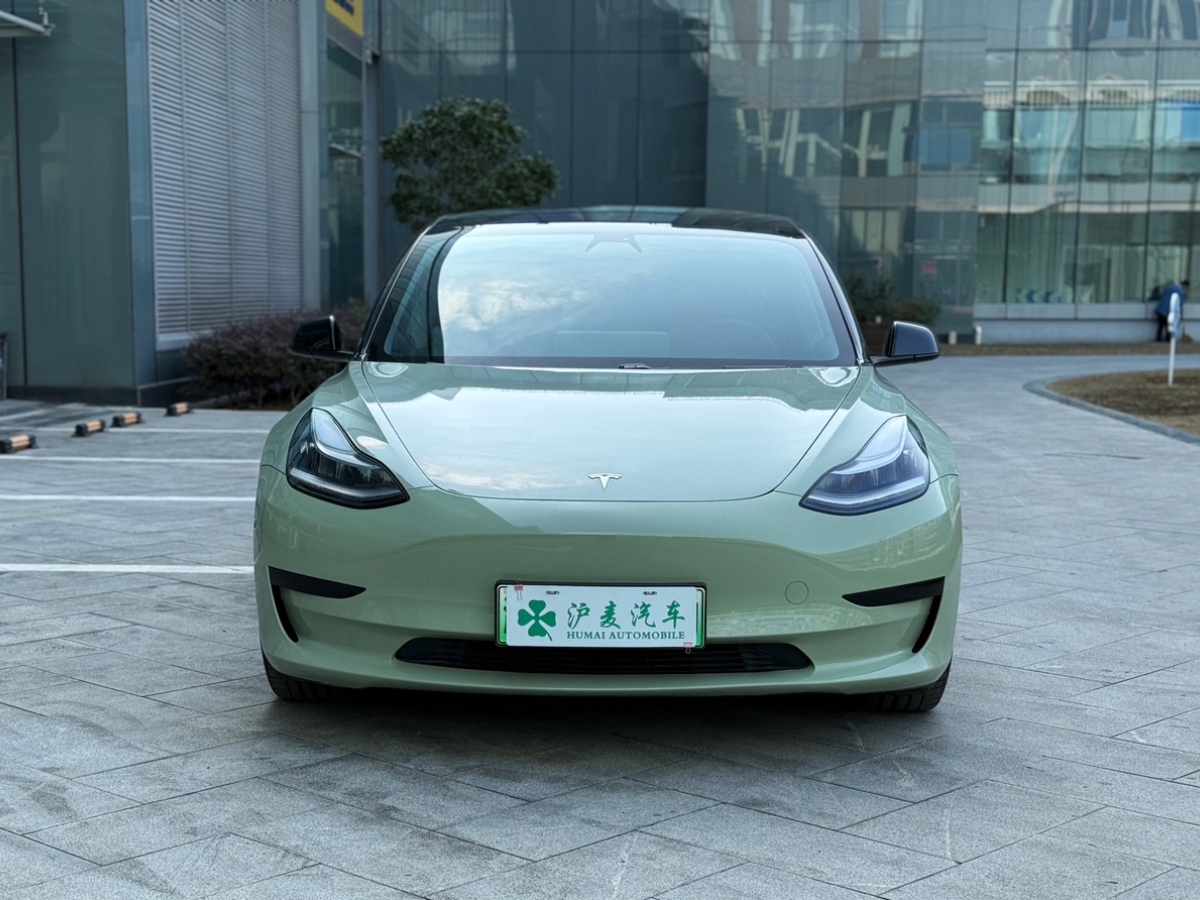 特斯拉 Model 3  2019款 標(biāo)準(zhǔn)續(xù)航后驅(qū)升級版圖片