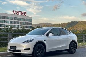 Model Y 特斯拉 改款 长续航后轮驱动版