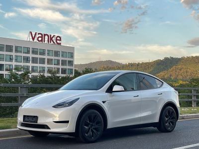 2024年10月 特斯拉 Model Y 改款 長續(xù)航后輪驅(qū)動版圖片