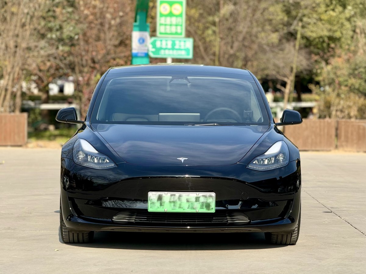 特斯拉 Model 3  2019款 標(biāo)準(zhǔn)續(xù)航后驅(qū)升級版圖片