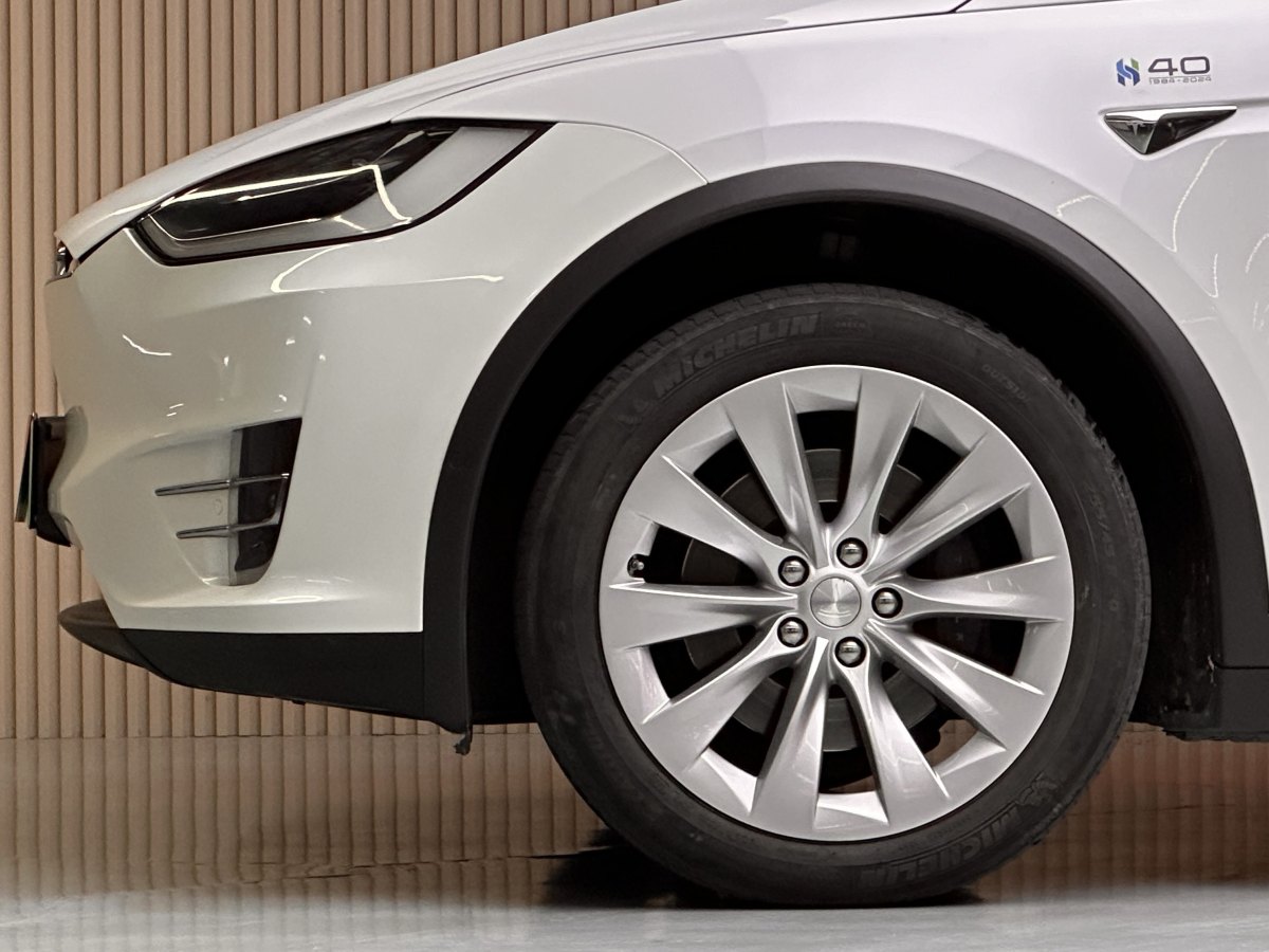 特斯拉 Model X  2017款 Model X 100D 長續(xù)航版圖片