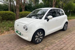 歐拉黑貓 歐拉 2021款 351km 標(biāo)準(zhǔn)型