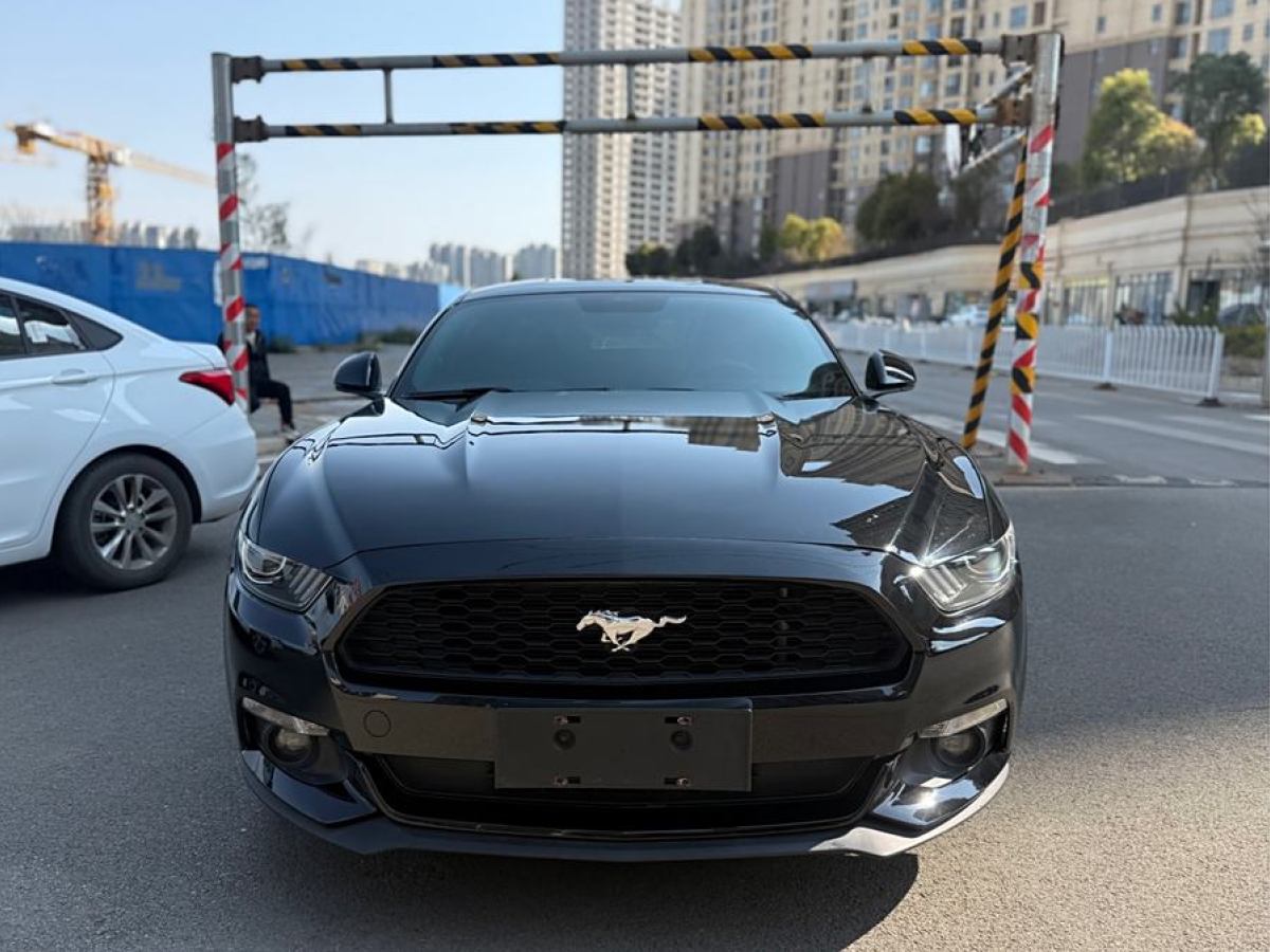 福特 Mustang  2015款 2.3T 性能版圖片