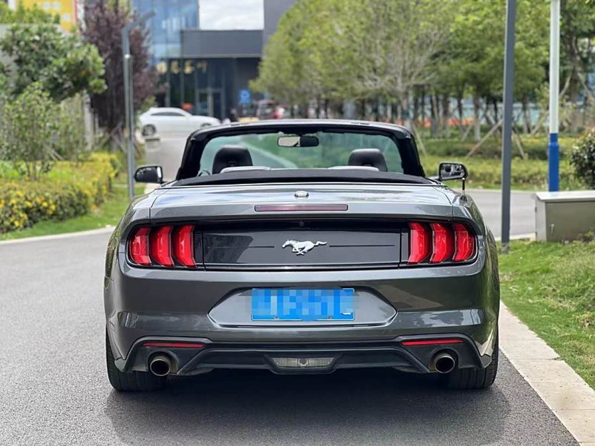 2020年4月福特 Mustang  2019款 2.3L EcoBoost