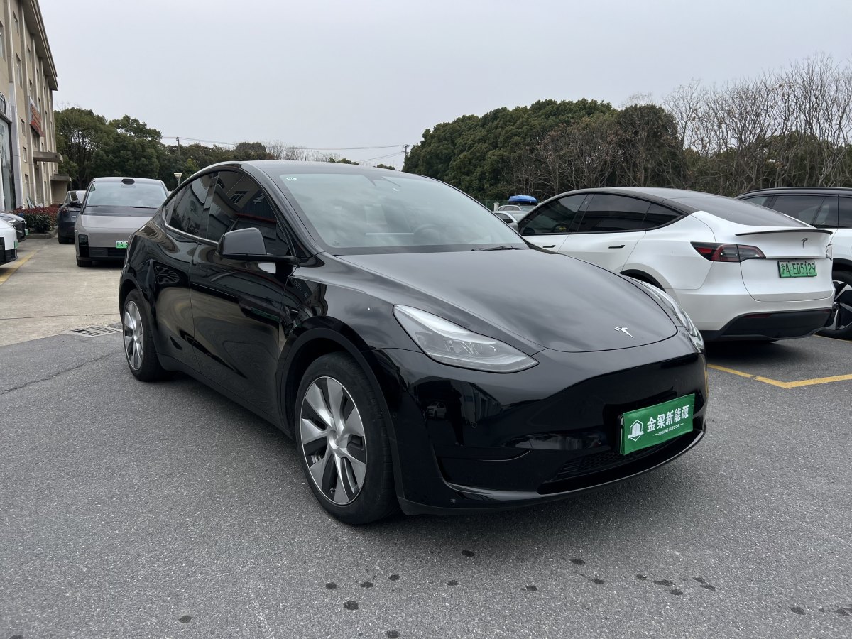 特斯拉 Model 3  2022款 后輪驅(qū)動(dòng)版圖片