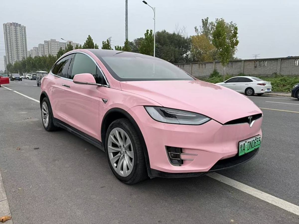 特斯拉 Model X  2019款 標準續(xù)航版圖片