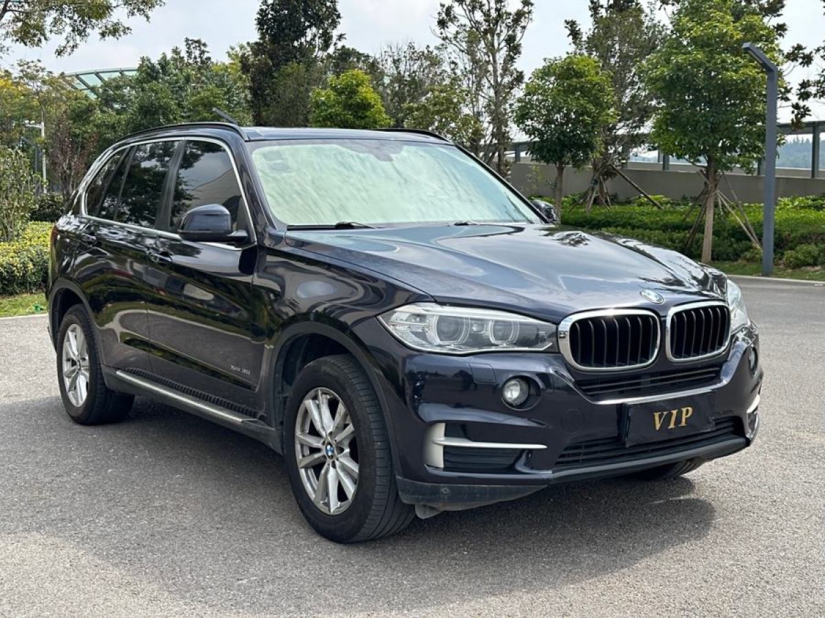 寶馬 寶馬X5  2014款 xDrive35i 領(lǐng)先型圖片