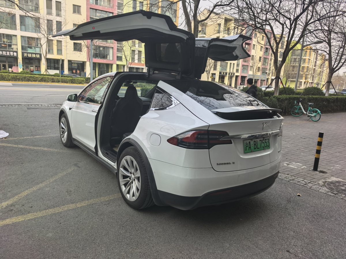 特斯拉 Model X  2017款 Model X 100D 長續(xù)航版圖片