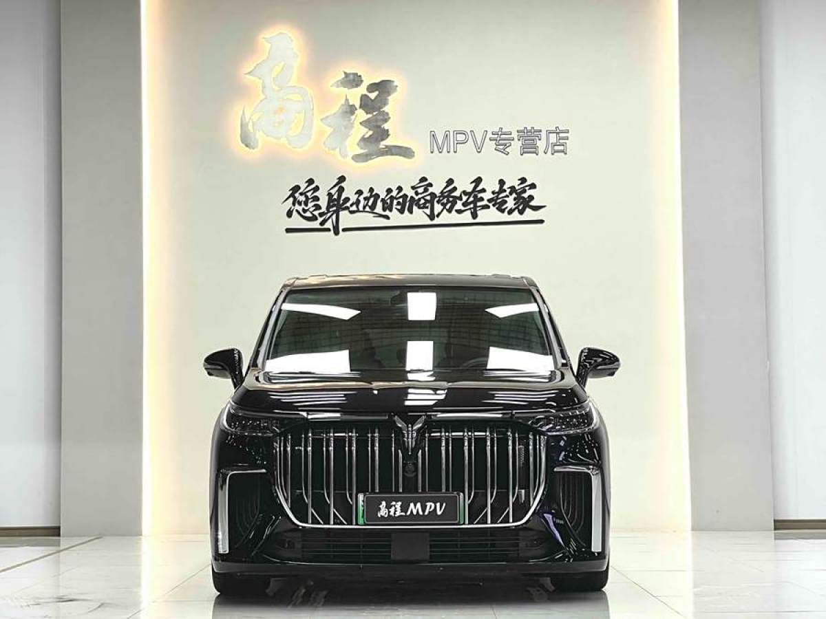 嵐圖 夢想家  2024款 PHEV 超長續(xù)航旗艦版圖片