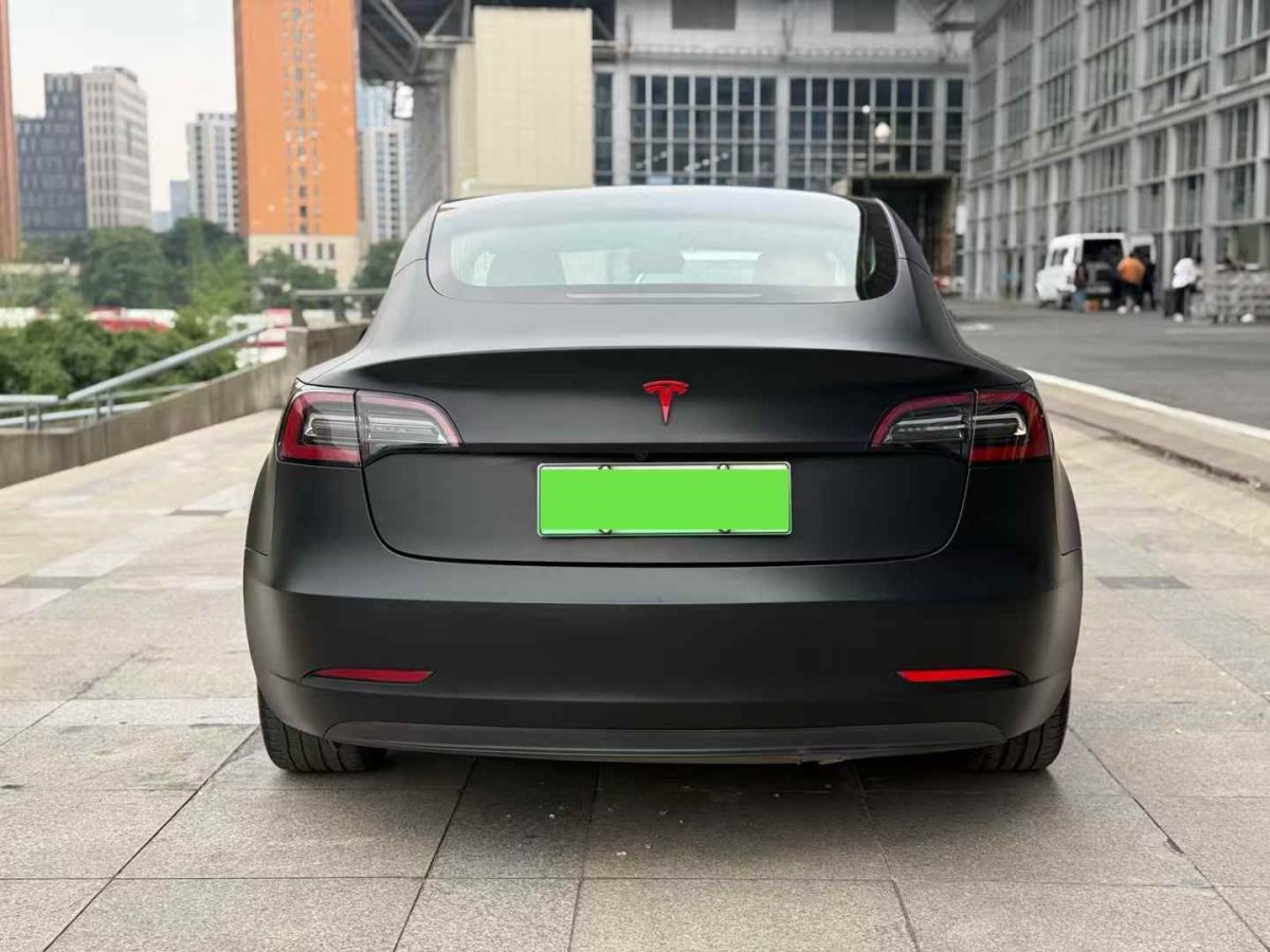 特斯拉 Model X  2020款 Performance 高性能版圖片