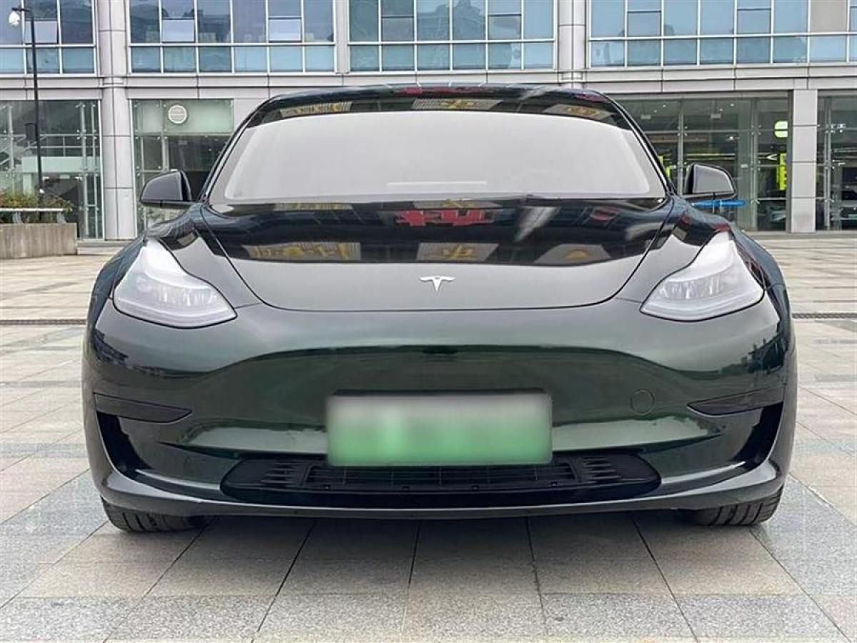 2020年3月特斯拉 Model 3  2019款 標準續(xù)航后驅升級版