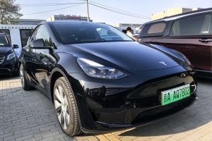 Model Y 特斯拉 改款 后輪驅(qū)動(dòng)版