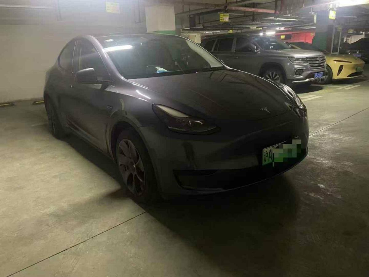 特斯拉 Model Y  2022款 Performance高性能全輪驅(qū)動(dòng)版圖片