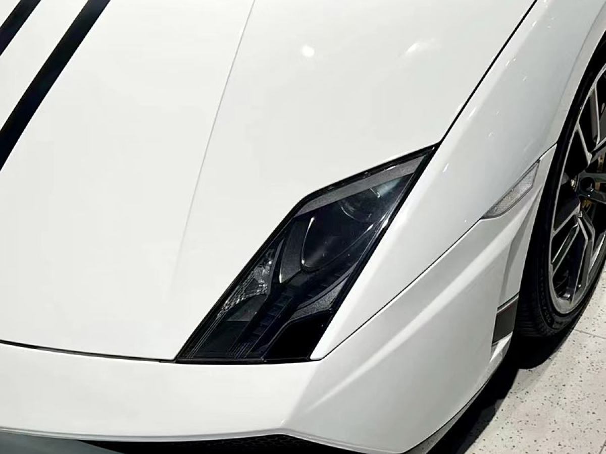 蘭博基尼 Gallardo  2011款 LP 570-4 Spyder Performante圖片