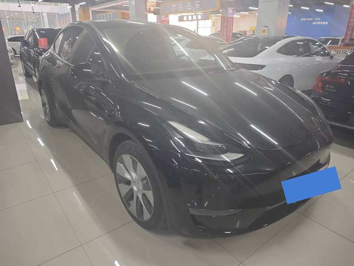 特斯拉 Model 3  2021款 改款 標(biāo)準(zhǔn)續(xù)航后驅(qū)升級(jí)版圖片