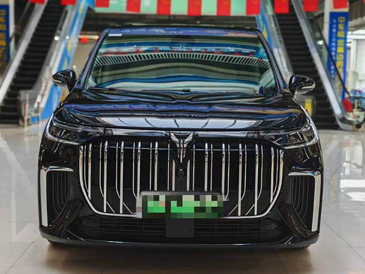 嵐圖 夢想家  2024款 PHEV 超長續(xù)航尊貴版圖片