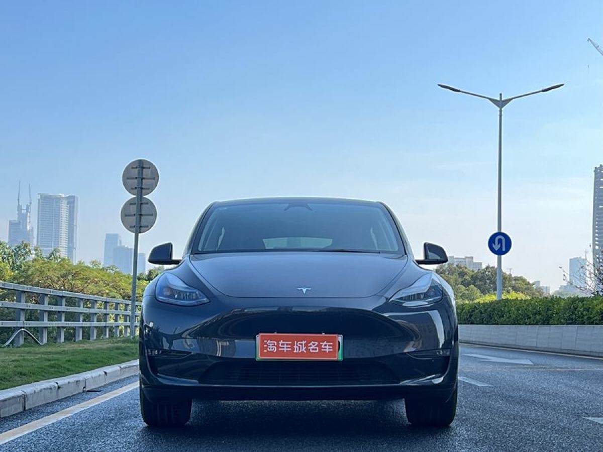 特斯拉 Model Y  2024款 長續(xù)航全輪驅(qū)動版圖片