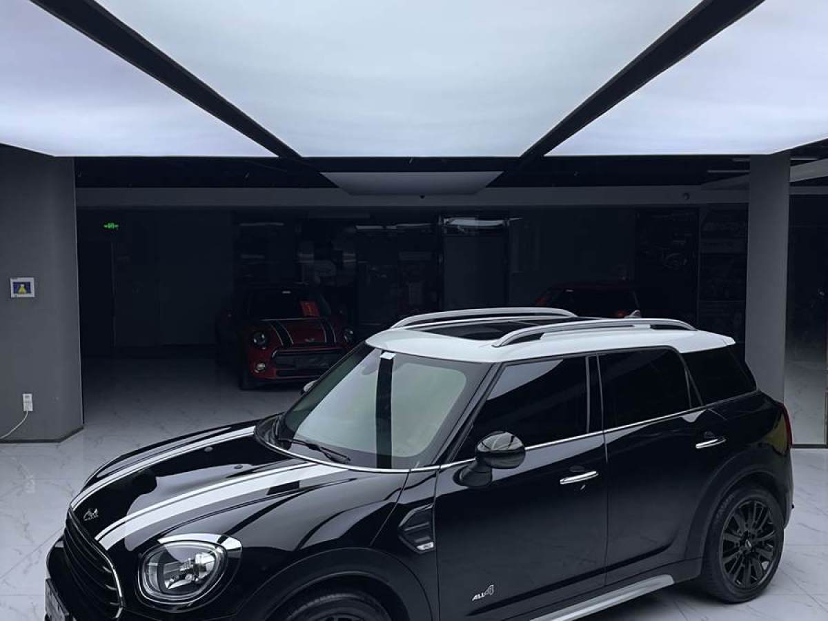 MINI COUNTRYMAN  2018款 1.5T COOPER ALL4 藝術家圖片