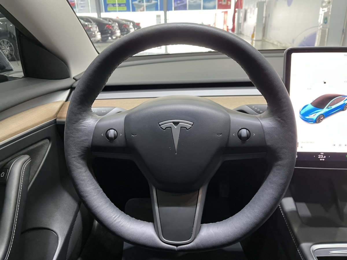 特斯拉 Model 3  2021款 標(biāo)準(zhǔn)續(xù)航后驅(qū)升級(jí)版 3D6圖片