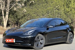 Model 3 特斯拉 标准续航后驱升级版