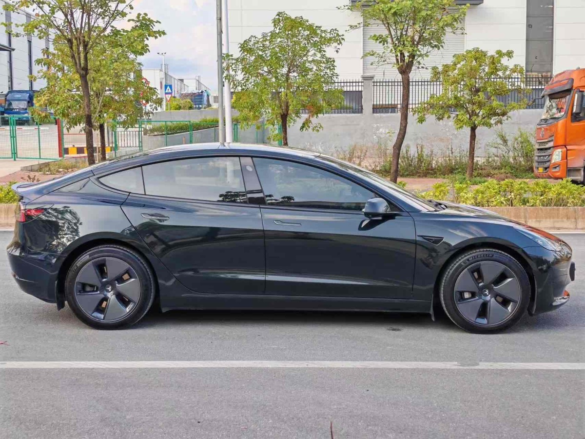 特斯拉 Model 3  2019款 標(biāo)準(zhǔn)續(xù)航后驅(qū)升級版圖片