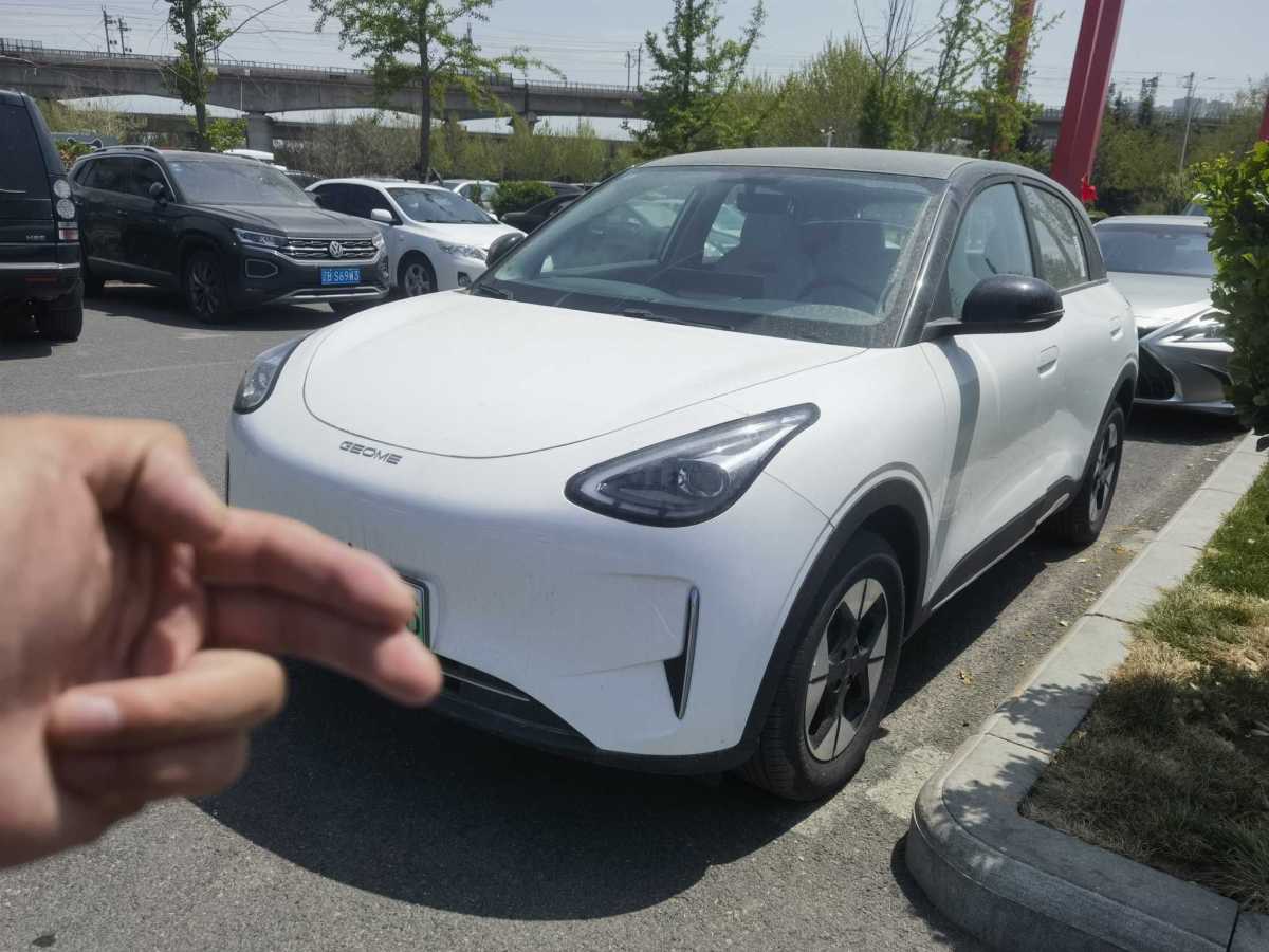 吉利 星愿  2025款 310km 夢(mèng)想版圖片
