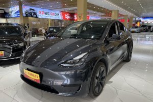 Model Y 特斯拉 改款 长续航后轮驱动版