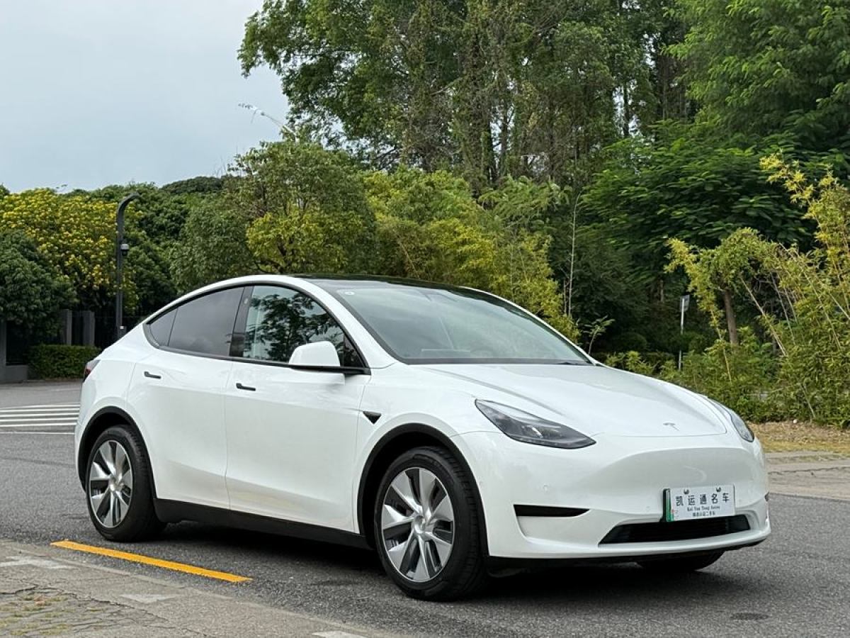 特斯拉 Model Y  2020款 改款 長續(xù)航后輪驅(qū)動版圖片