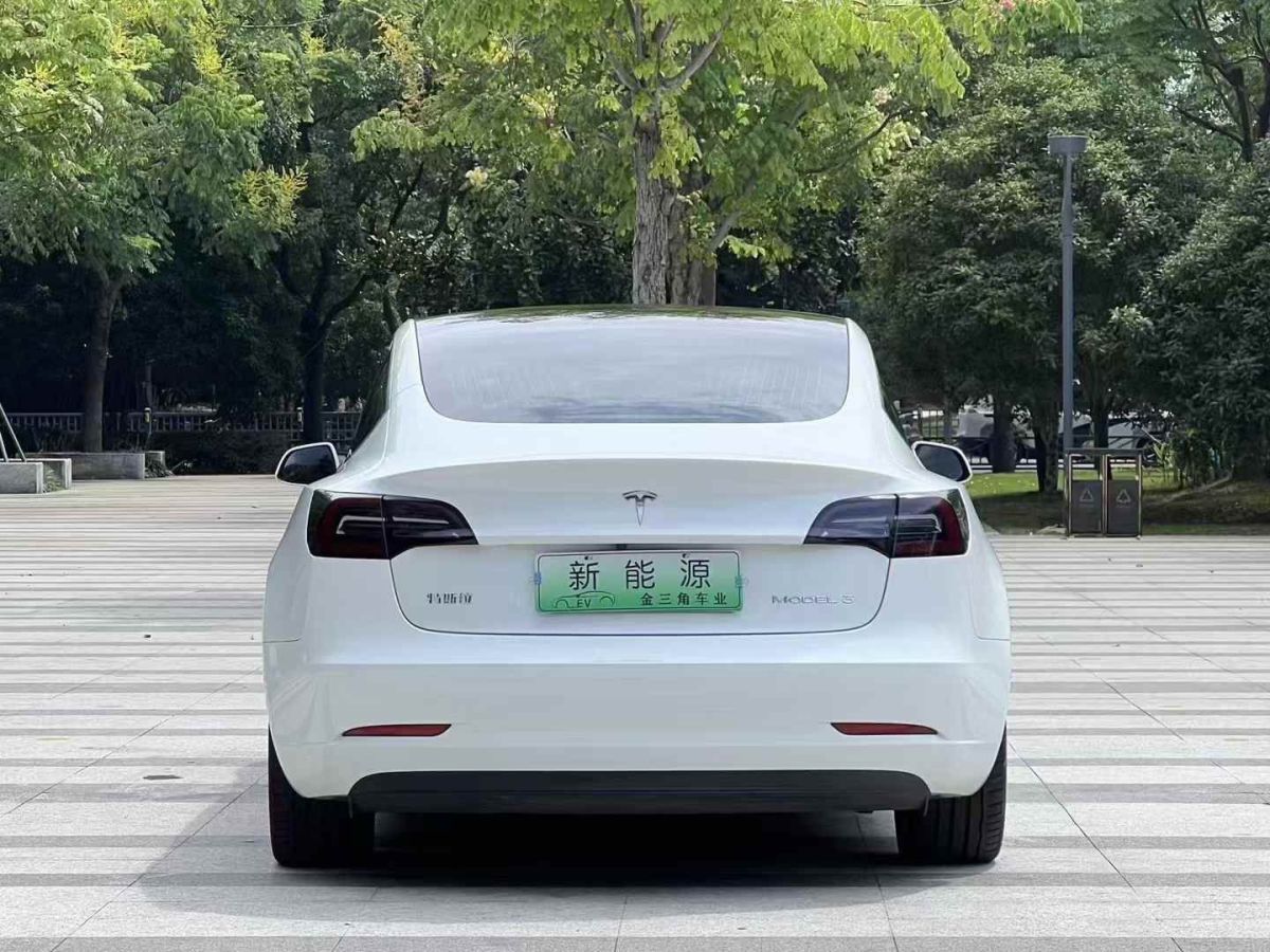 特斯拉 Model X  2020款 Performance 高性能版圖片