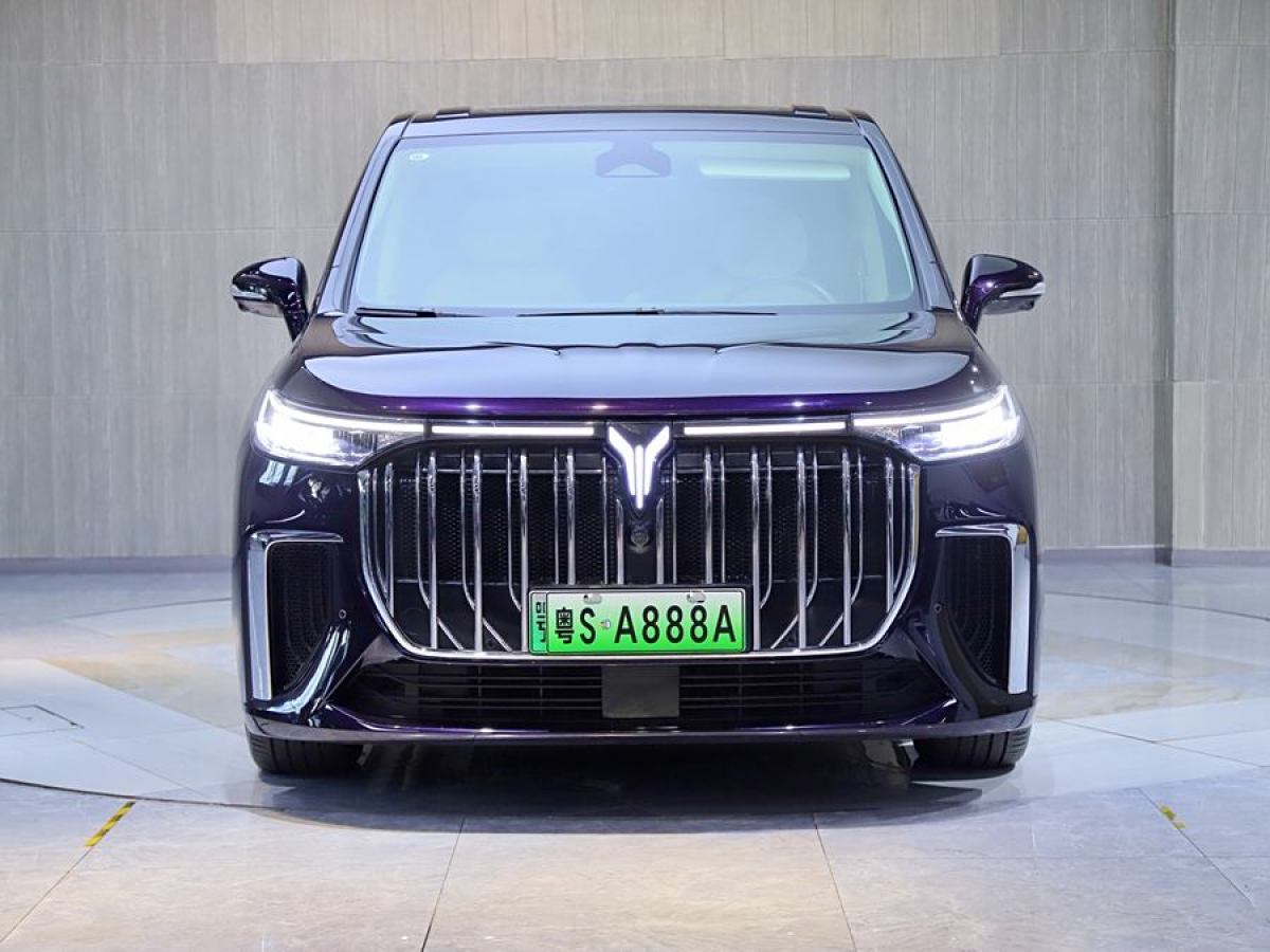 嵐圖 夢(mèng)想家  2024款 PHEV 超長(zhǎng)續(xù)航尊貴版圖片