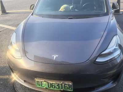 2021年6月 特斯拉 Model 3 標(biāo)準(zhǔn)續(xù)航后驅(qū)升級版 3D6圖片