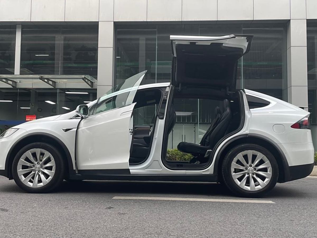 特斯拉 Model X  2019款 長續(xù)航版圖片