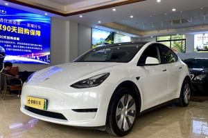 Model 3 特斯拉 后輪驅(qū)動版