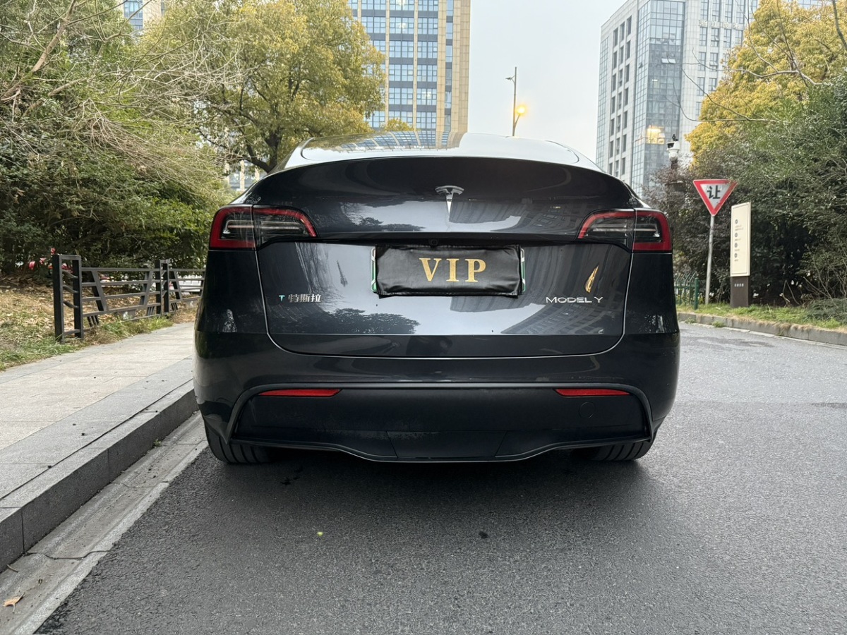 特斯拉 Model Y  2024款 后輪驅(qū)動版圖片