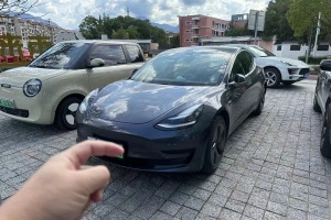 Model 3 特斯拉 标准续航后驱升级版