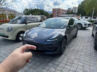 2020年11月 特斯拉 Model 3 標準續(xù)航后驅(qū)升級版圖片