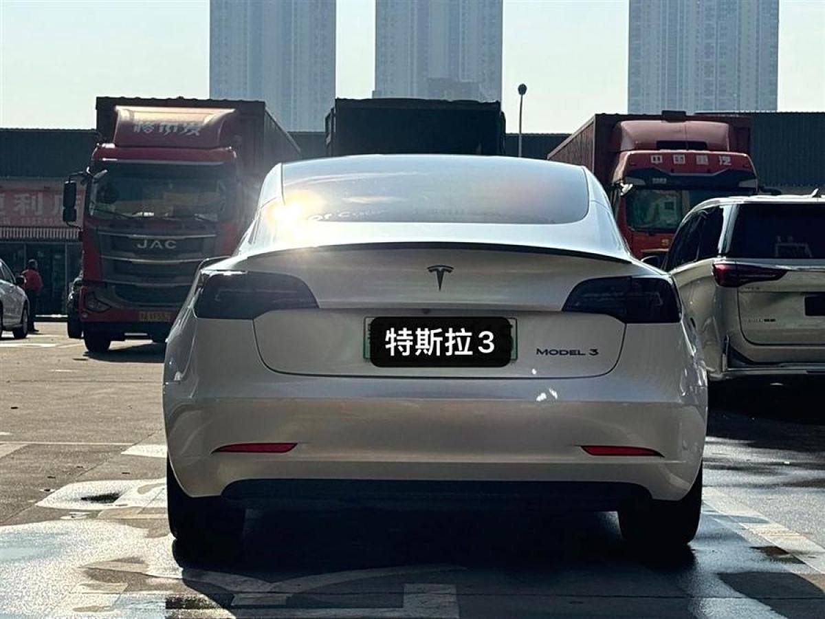 2020年1月特斯拉 Model 3  2020款 改款 標(biāo)準(zhǔn)續(xù)航后驅(qū)升級(jí)版