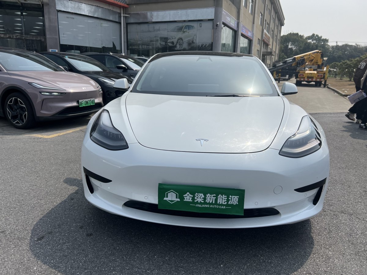 特斯拉 Model 3  2021款 標(biāo)準(zhǔn)續(xù)航后驅(qū)升級版 3D6圖片