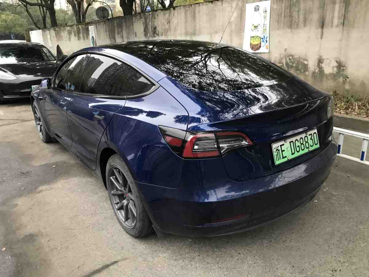 特斯拉 Model 3  2019款 標(biāo)準(zhǔn)續(xù)航后驅(qū)升級(jí)版圖片