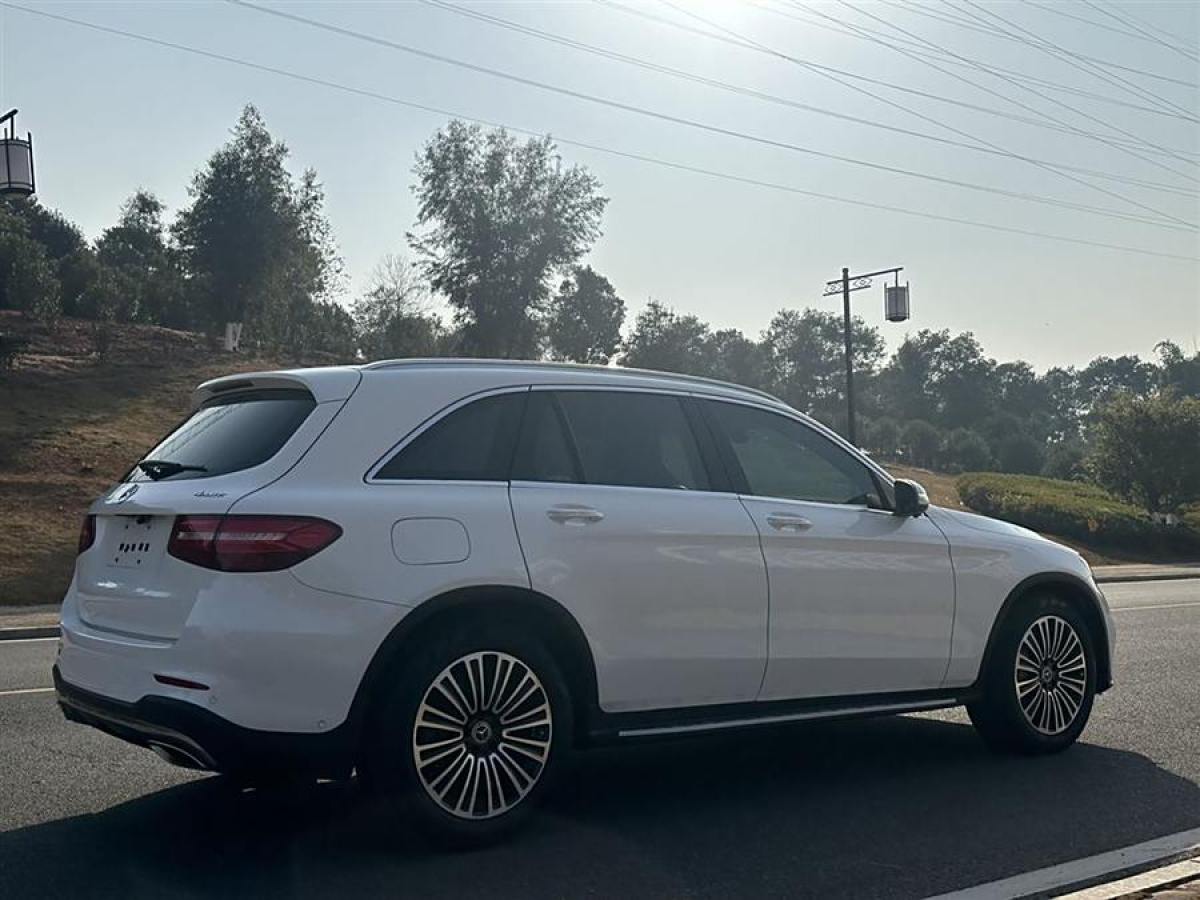 奔馳 奔馳GLC  2019款 GLC 260 4MATIC 動感型圖片