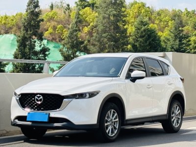 2022年5月 馬自達(dá) CX-5 2.0L 自動(dòng)兩驅(qū)智尚型圖片