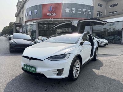 2019年4月 特斯拉 Model X Model X 100D 長(zhǎng)續(xù)航版圖片