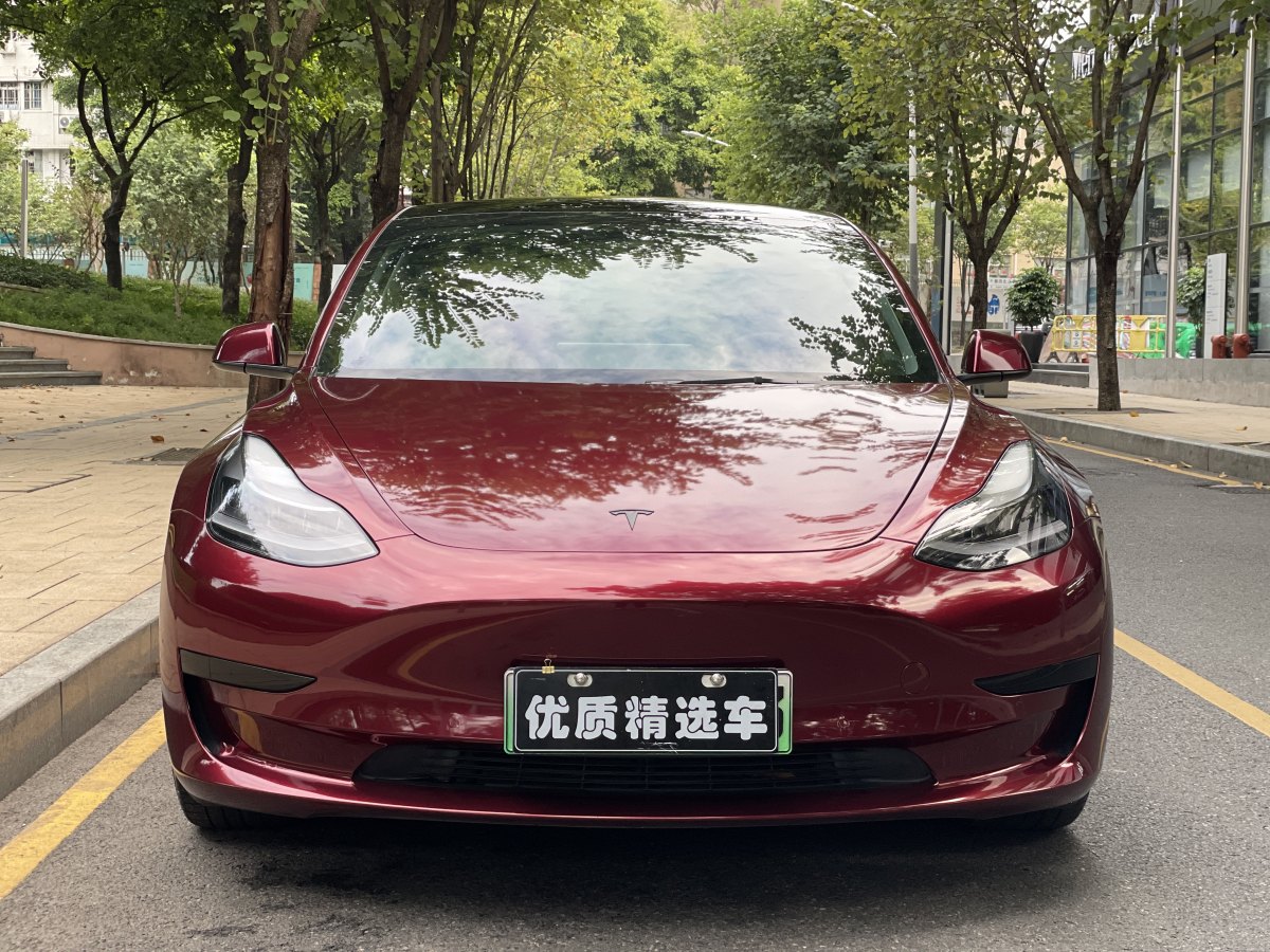 特斯拉 Model 3  2019款 標準續(xù)航后驅升級版圖片