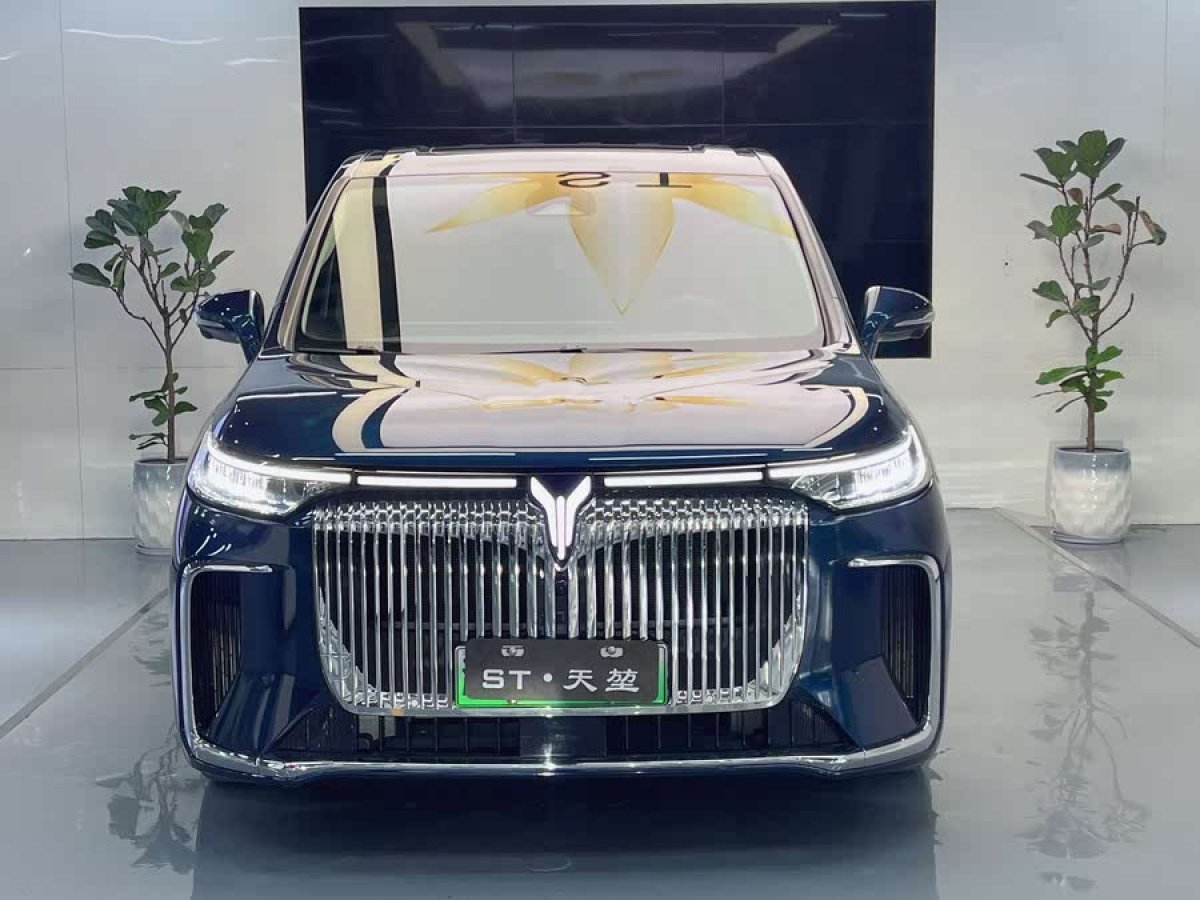 嵐圖 夢想家  2025款 EV 四驅(qū)尊貴鯤鵬版圖片