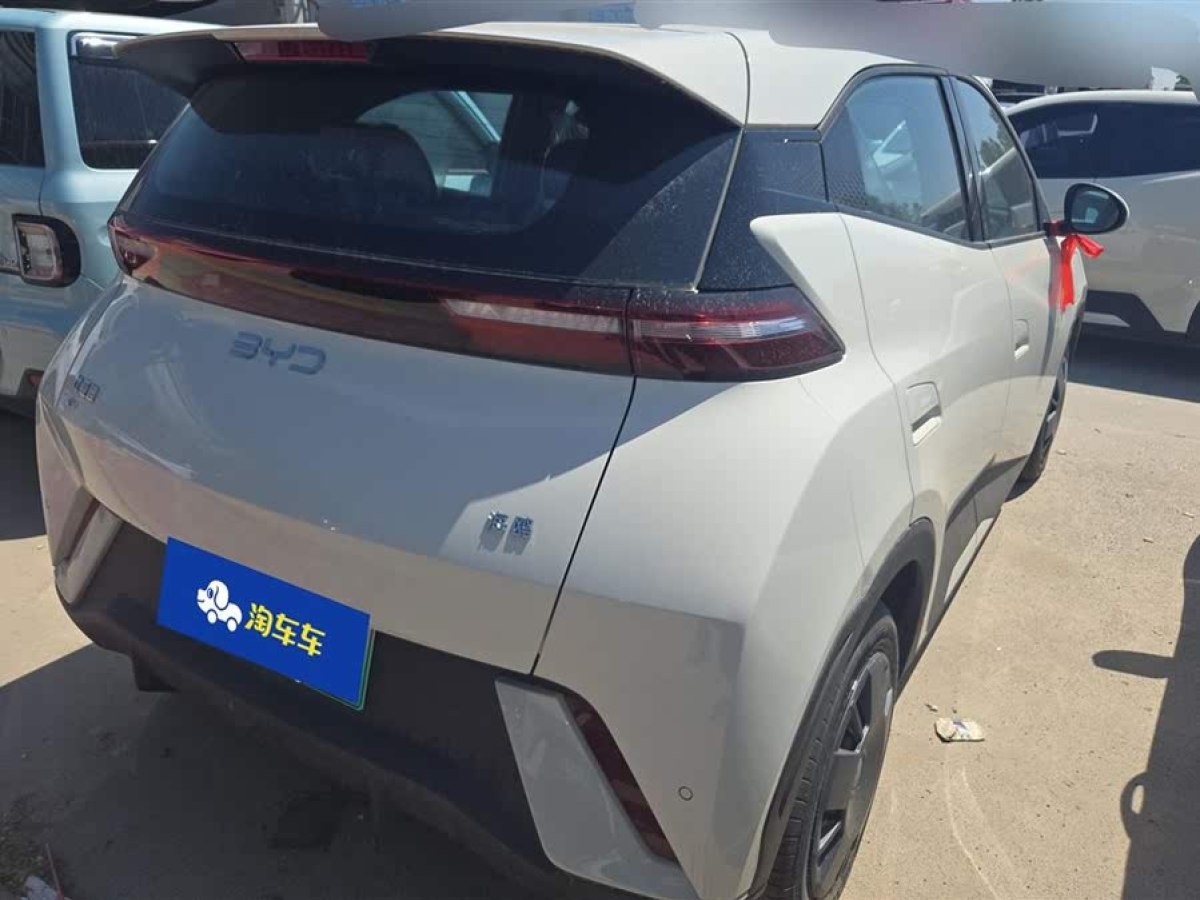 比亞迪 海鷗  2025款 智駕版 305km 活力版圖片