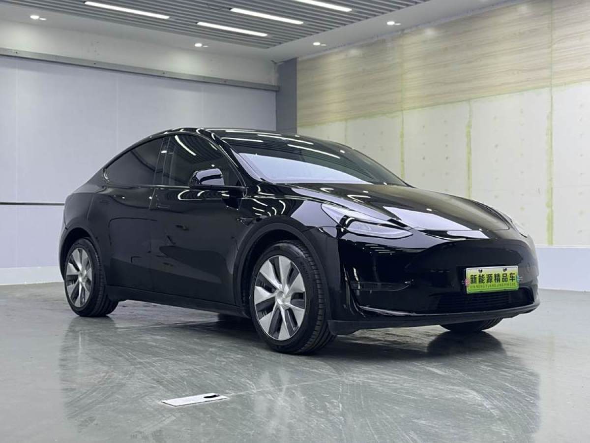 特斯拉 Model Y  2021款 長(zhǎng)續(xù)航全輪驅(qū)動(dòng)版 3D7圖片