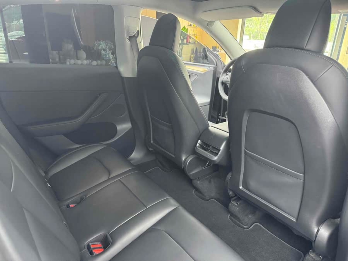 特斯拉 Model Y  2022款 Performance高性能全輪驅(qū)動(dòng)版圖片