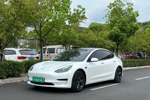 Model 3 特斯拉 改款 后轮驱动版